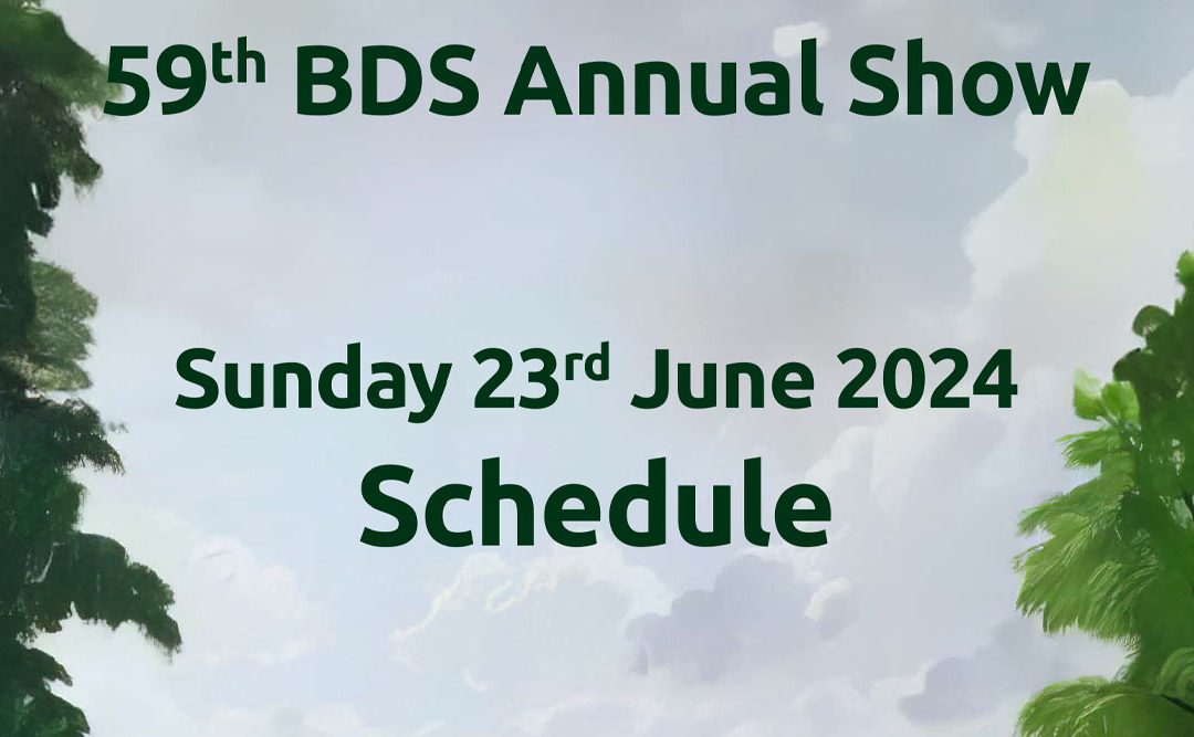 BDS Annual Show Schedule